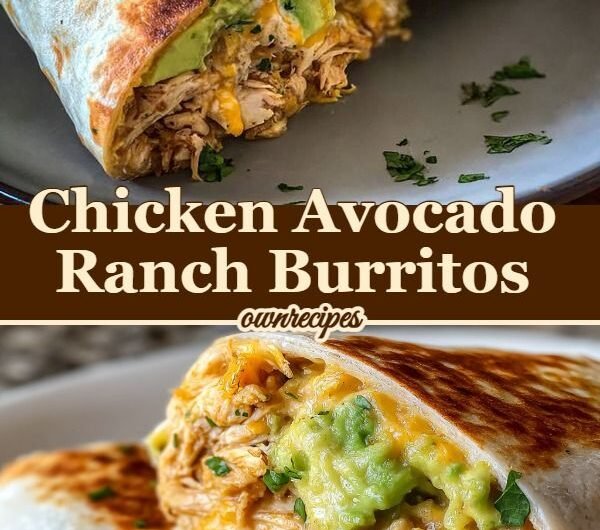 Chicken Avocado Ranch Burritos