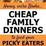 Honey We’re Broke Cheap Family Dinners To Feed Picky Eaters