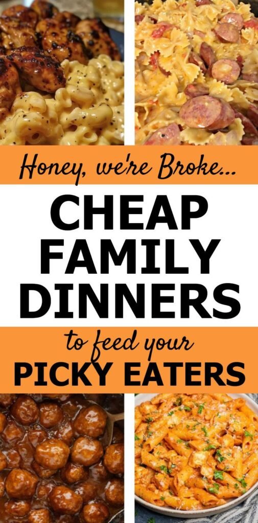 Honey We’re Broke Cheap Family Dinners To Feed Picky Eaters