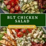 Savory BLT Chicken Salad | Healthy Salad Recipe
