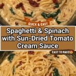 Spaghetti & Spinach with Sun-Dried Tomato Cream Sauce