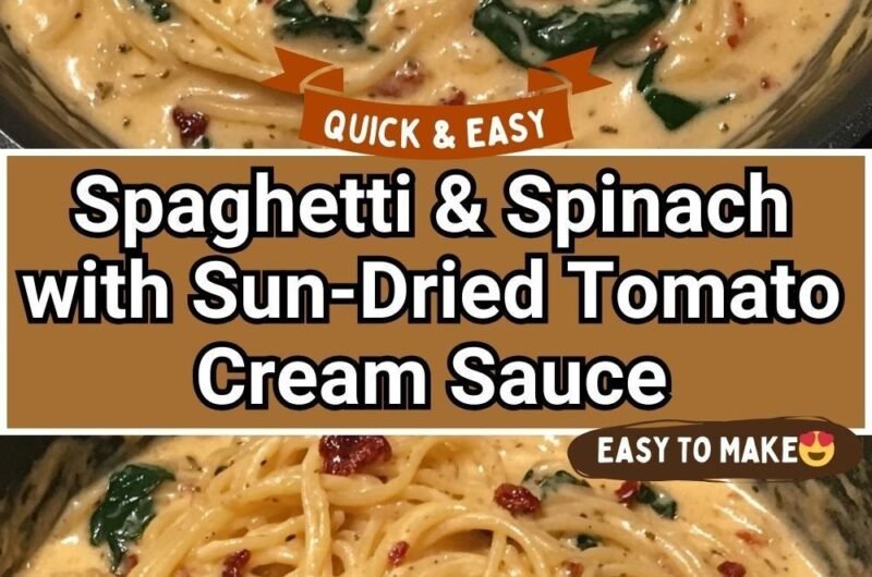 Spaghetti & Spinach with Sun-Dried Tomato Cream Sauce