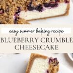 Blueberry Crumble Cheesecake Recipe