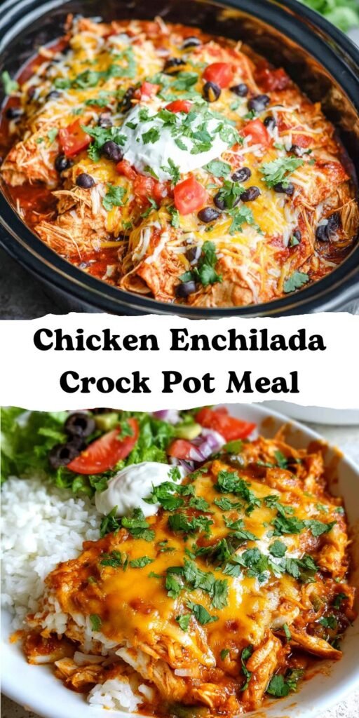Chicken Enchilada Crock Pot Meal