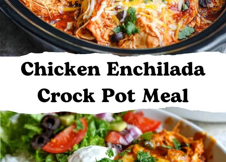 Chicken Enchilada Crock Pot Meal