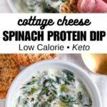 Spinach Protein Dip