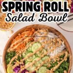Spring Roll Salad with Peanut Dressing
