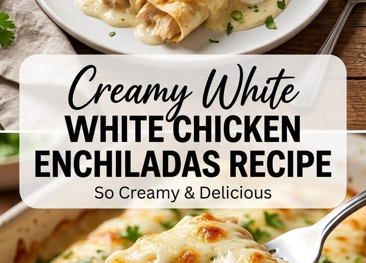 Creamy White Chicken Enchiladas