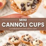 Mini Cannoli Cups