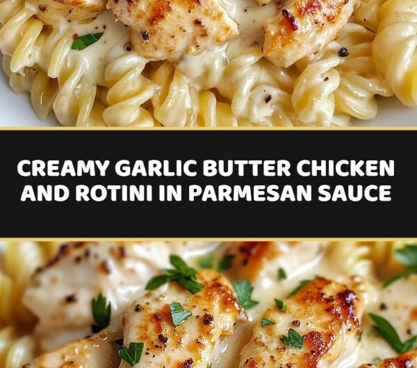 Creamy Garlic Butter Chicken and Rotini in Parmesan Sauce