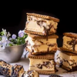 Toasted S’mores Ice Cream Sandwiches