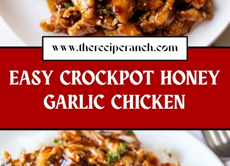 Crockpot Honey Garlic Chicken | Easy Recipe
